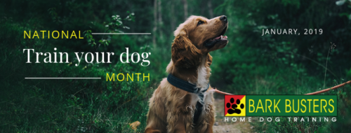 January is National Train Your Dog Month